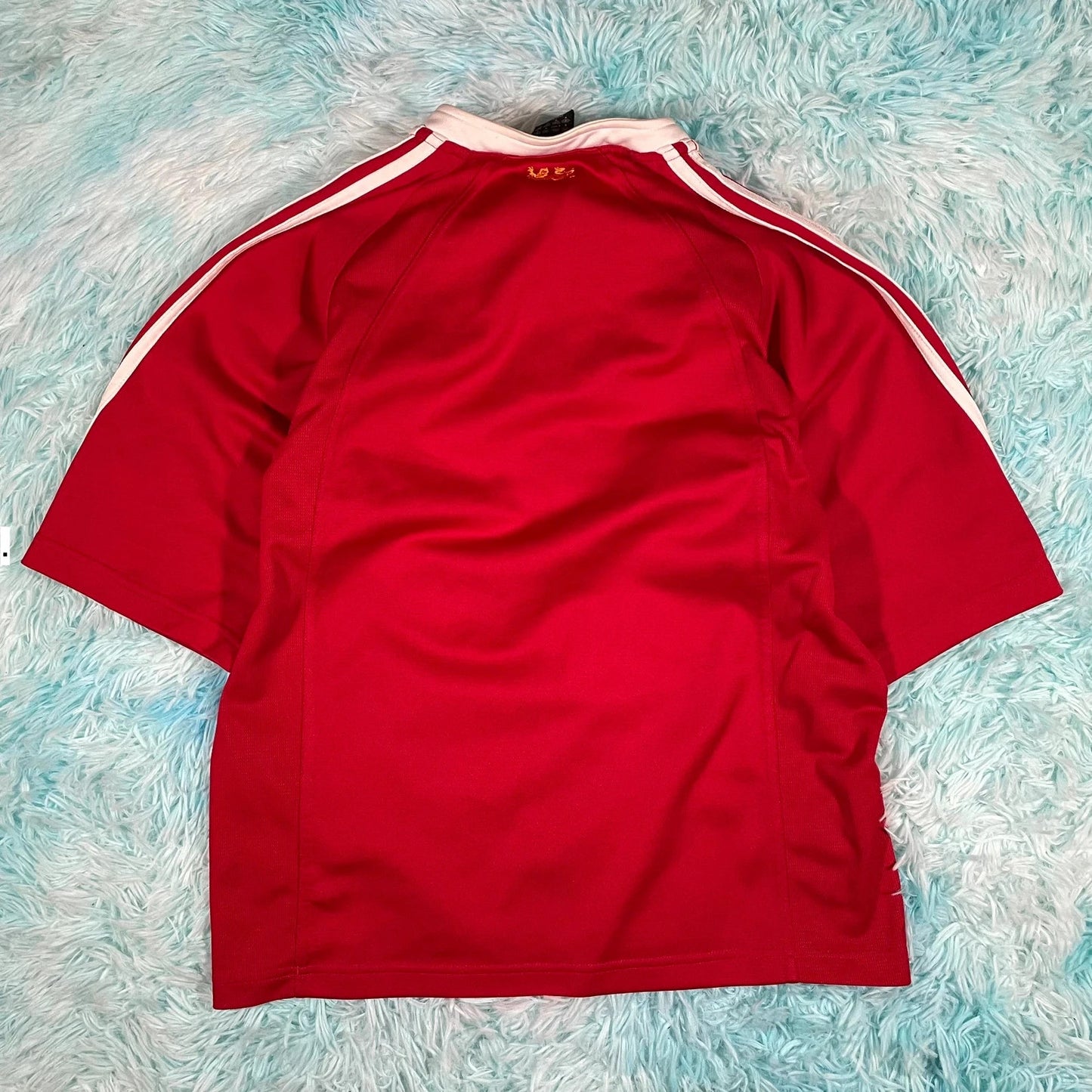 Vintage 2005 British Lions Rugby Shirt Adidas - Small