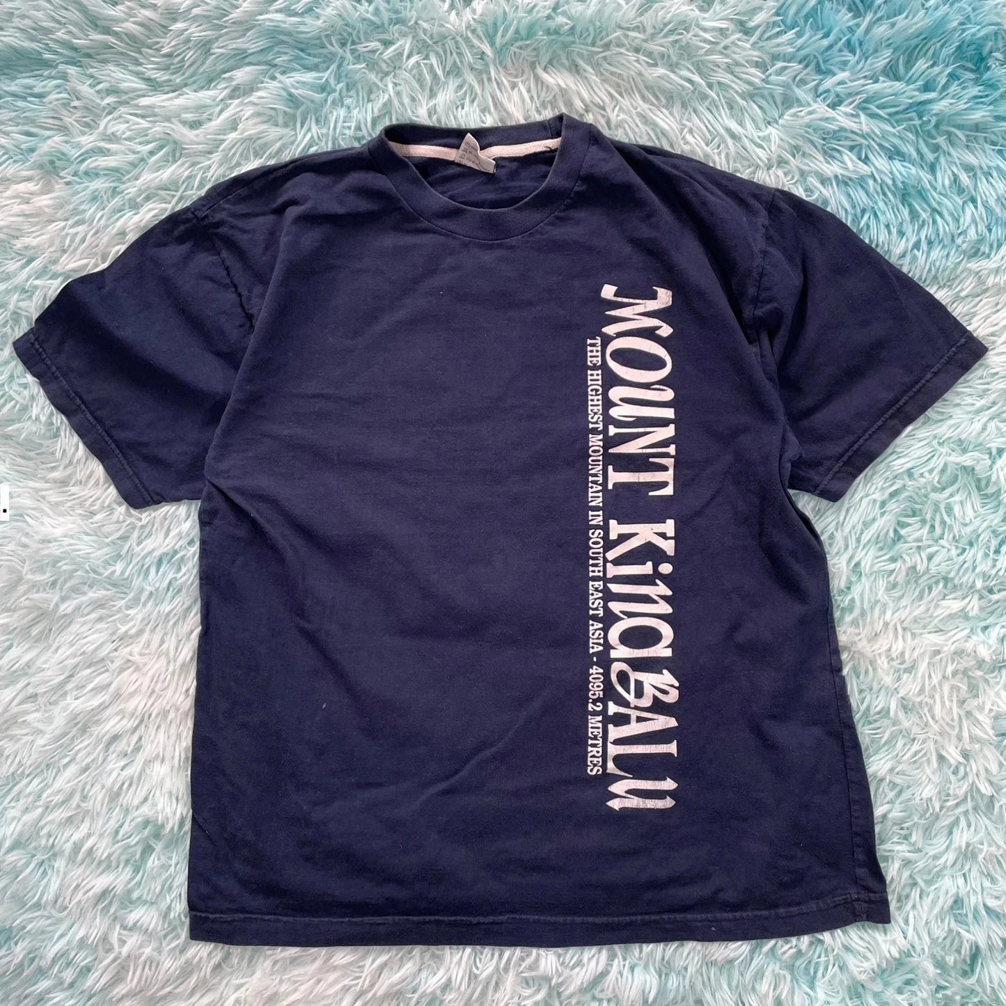 Vintage Navy Kinabalu Graphic T Shirt - Large