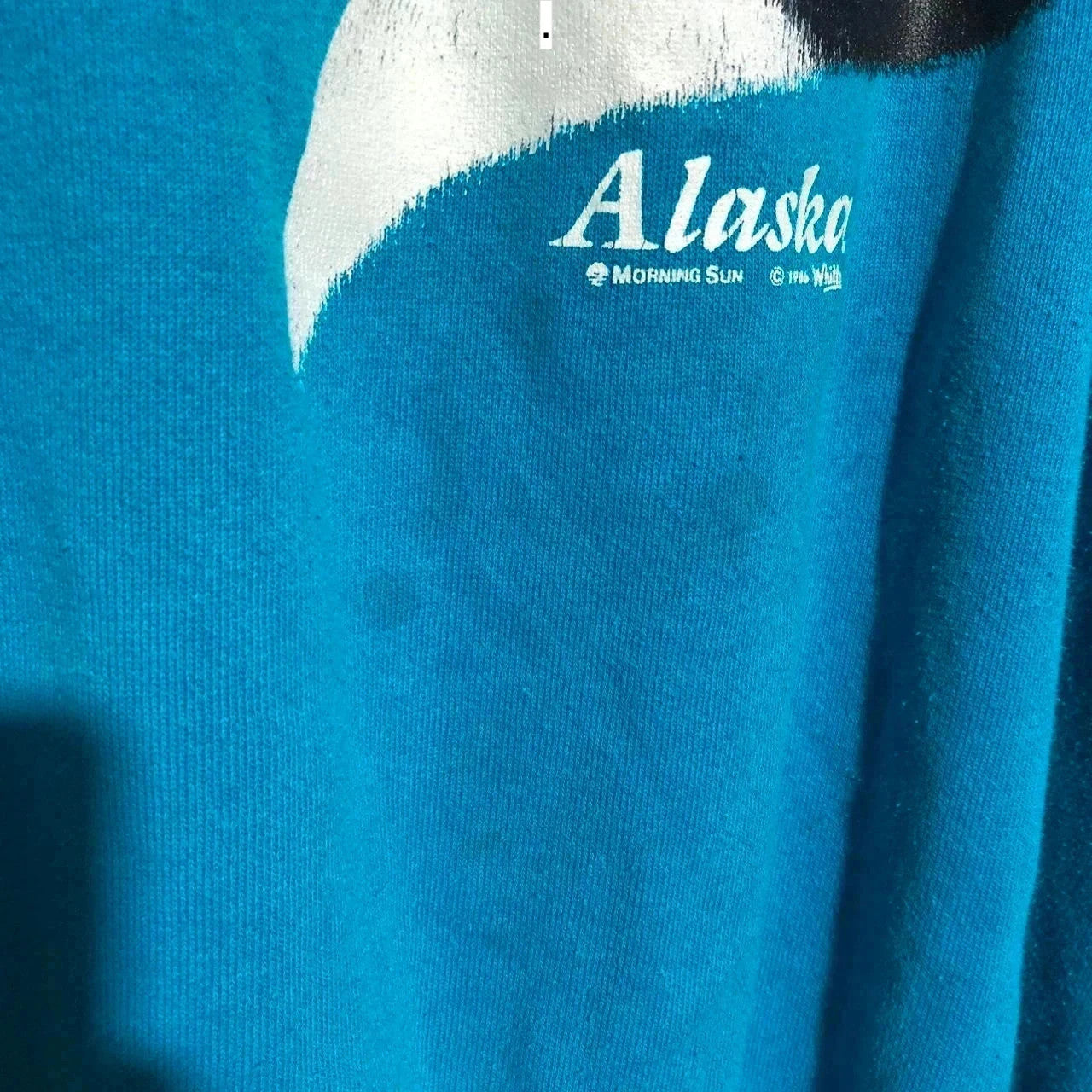 Vintage 90s Blue Alaska Toucan Graphic Print Sweatshirt - Large