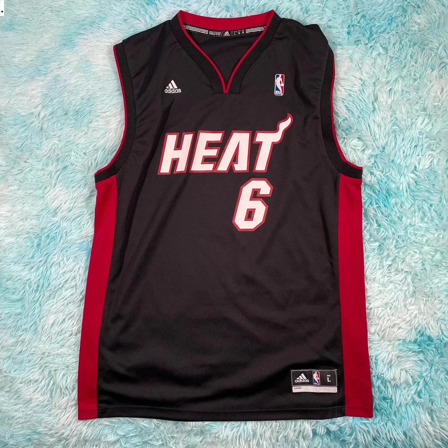 Miami Heat NBA Basketball Jersey James 9 - Large
