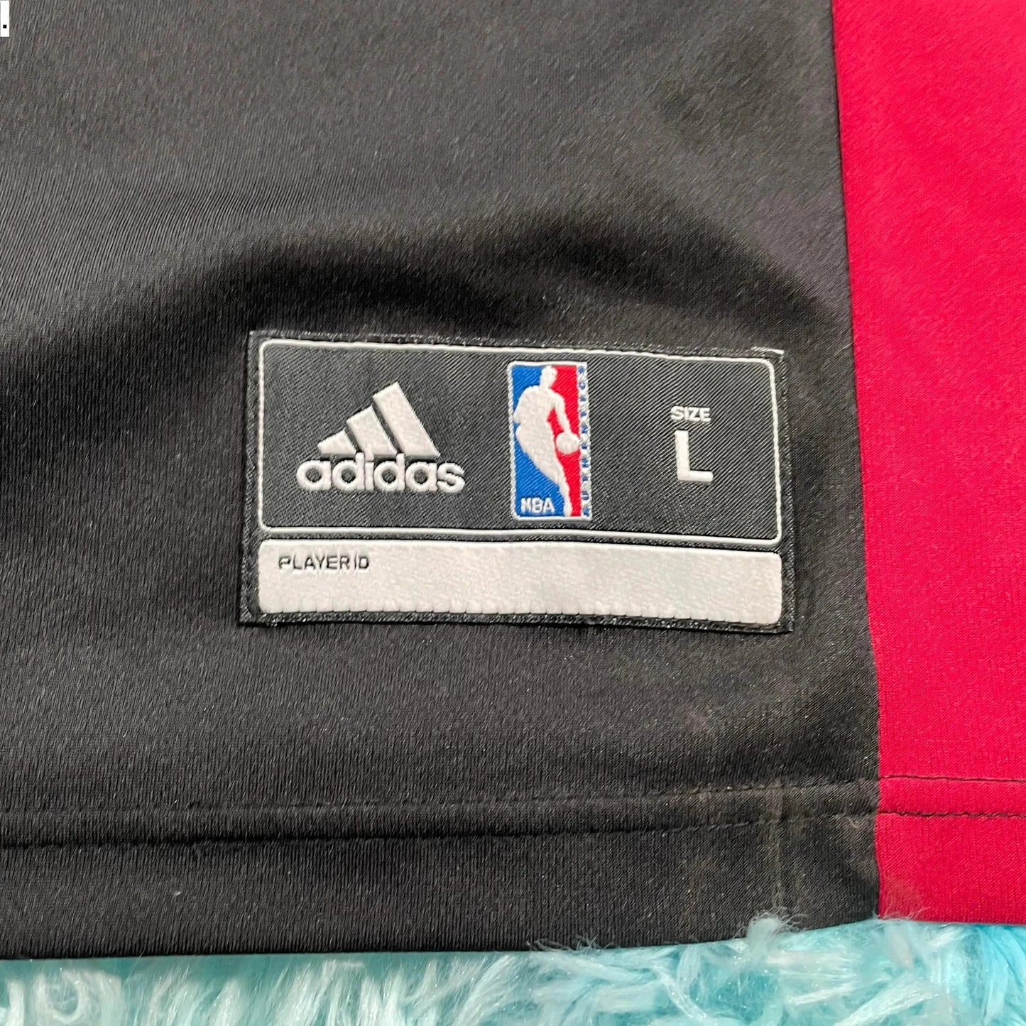 Miami Heat NBA Basketball Jersey James 9 - Large