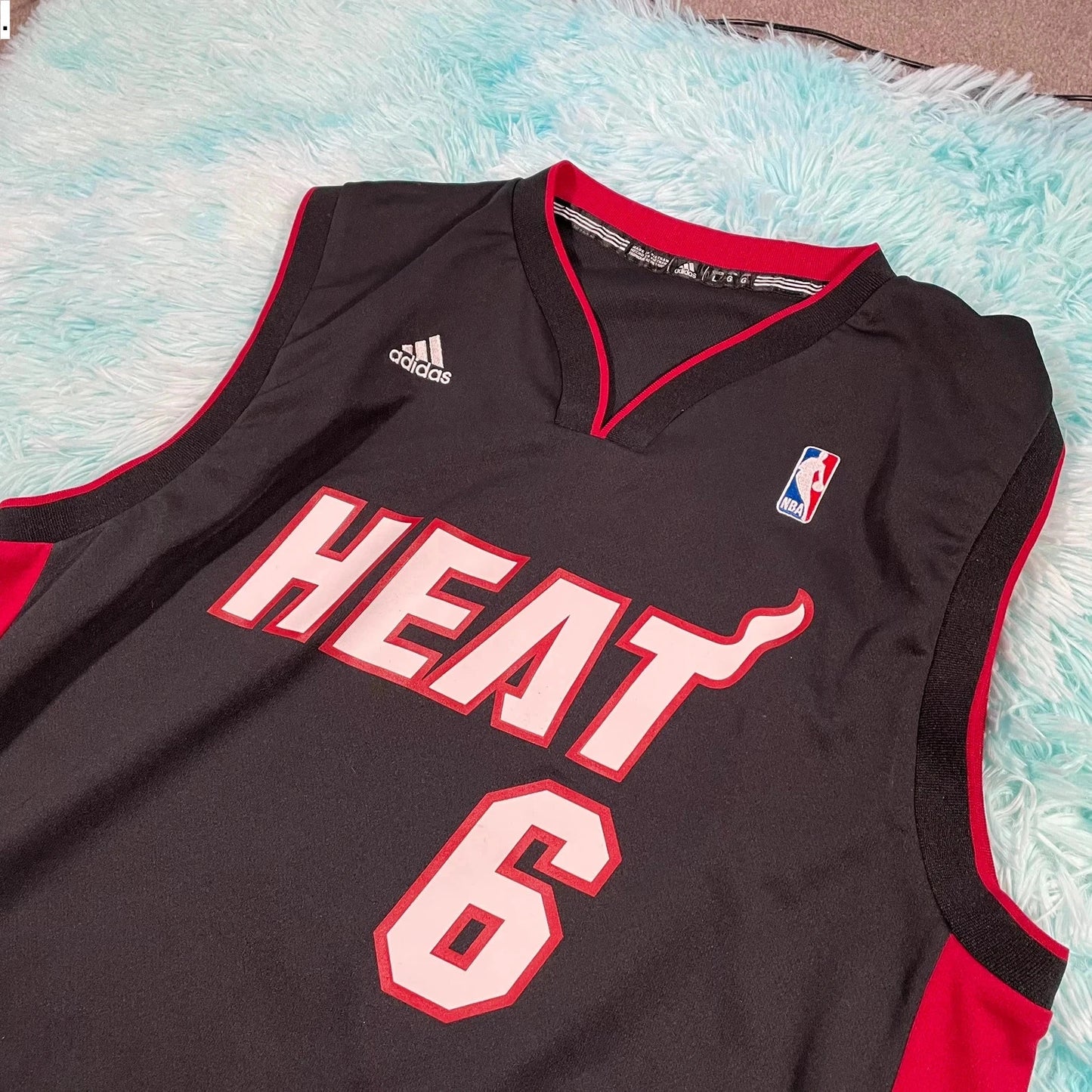 Miami Heat NBA Basketball Jersey James 9 - Large