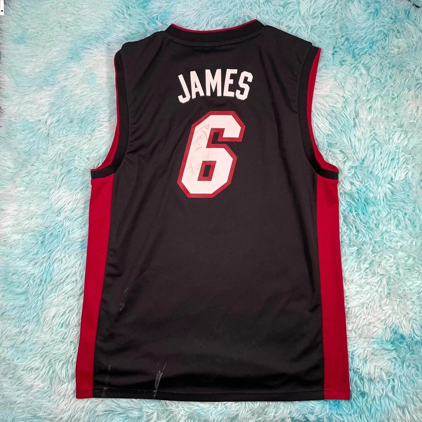 Miami Heat NBA Basketball Jersey James 9 - Large