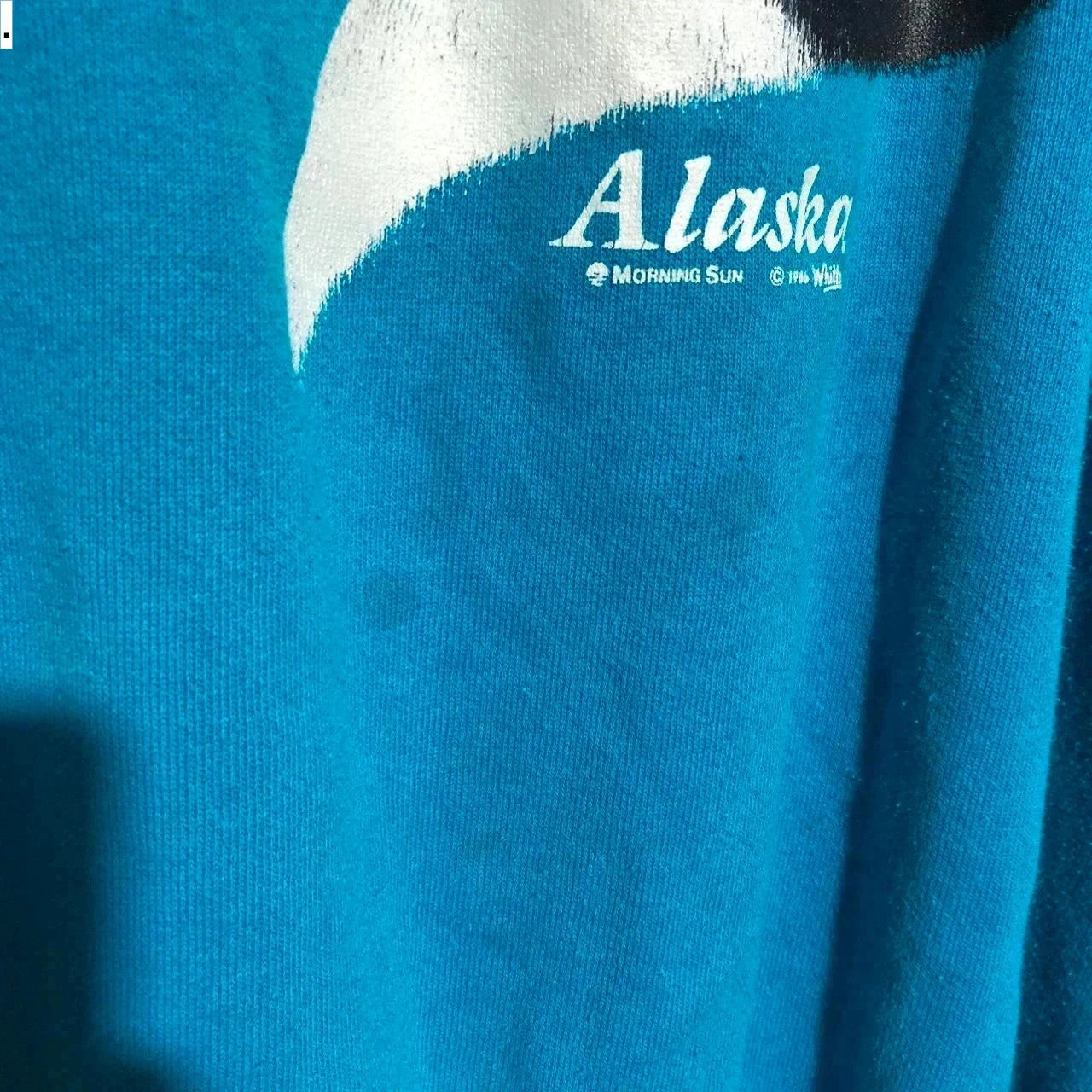Vintage 90s Blue Alaska Toucan Graphic Print Sweatshirt - Large