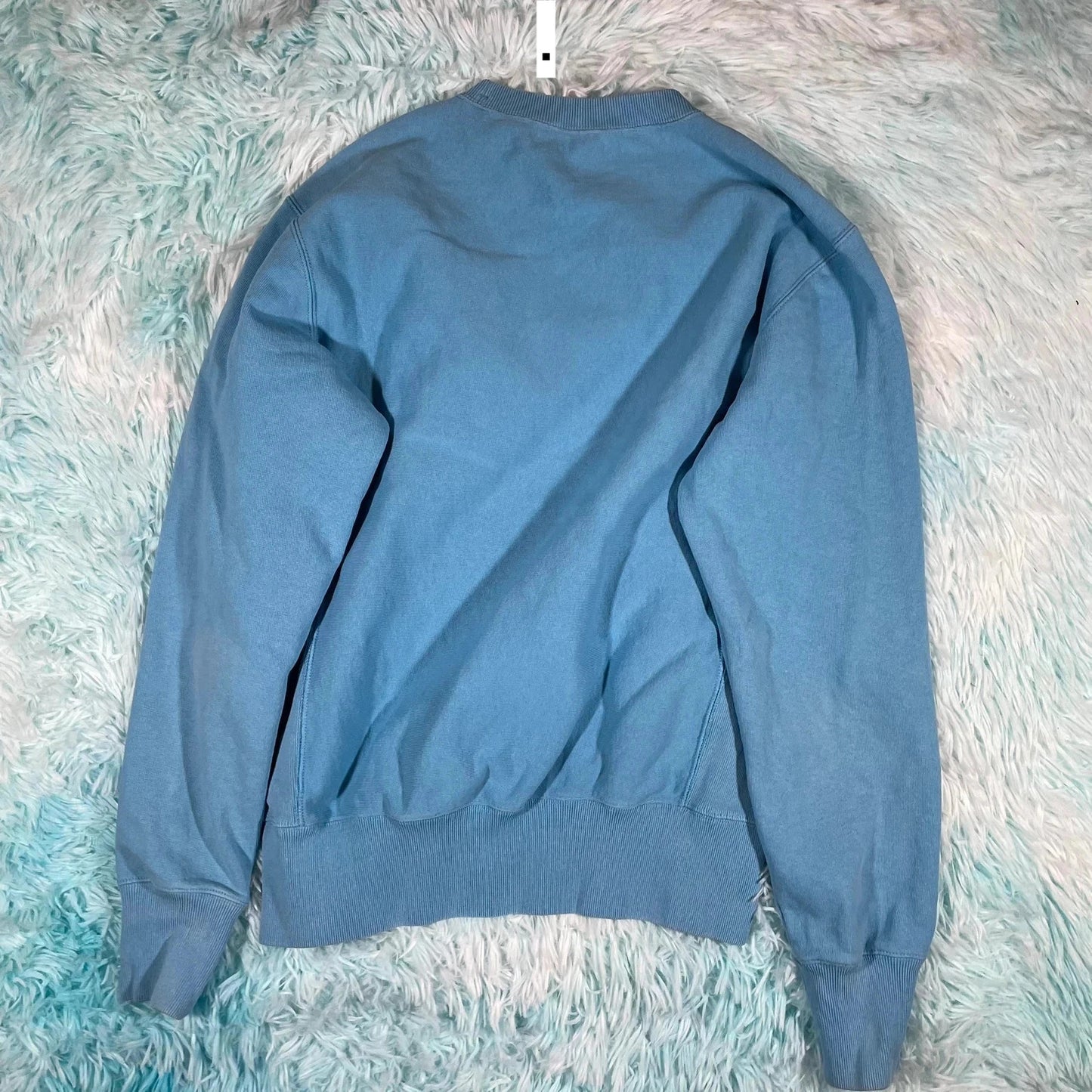 Baby Blue Champion Reverse Weave Sweatshirt - Large