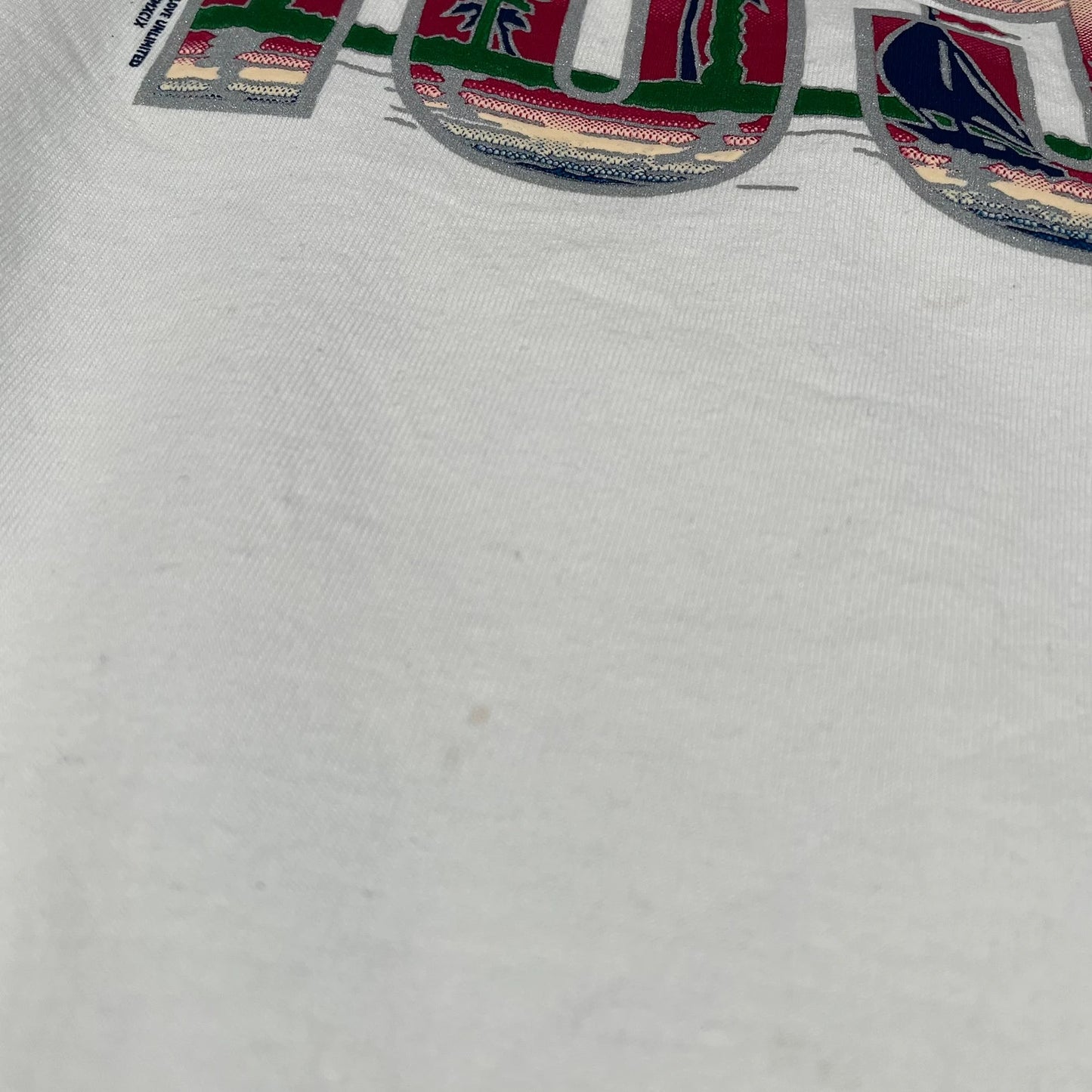 Vintage 90s 1999 White Virginia Beach Graphic T Shirt - Large