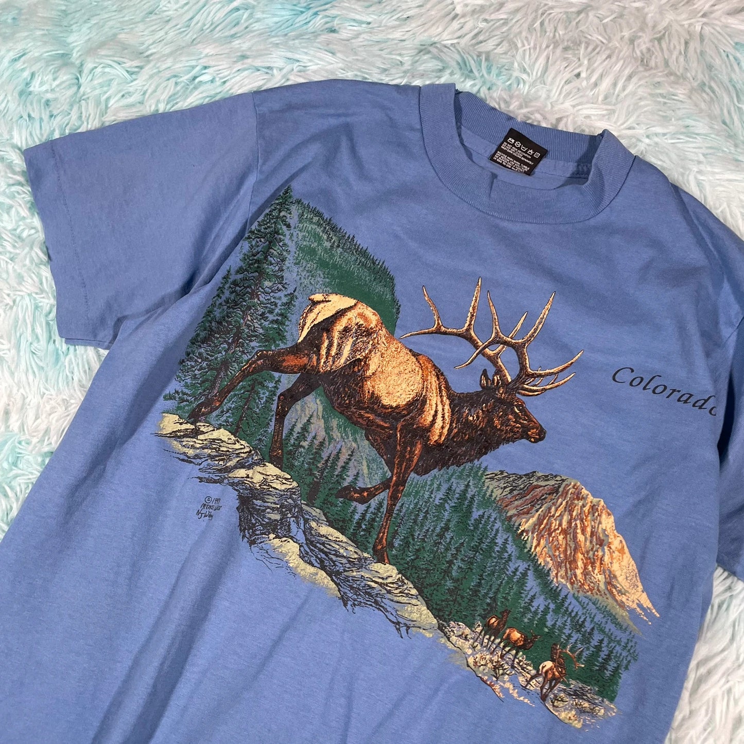 Vintage 90s Blue Nature Graphic T Shirt - Medium