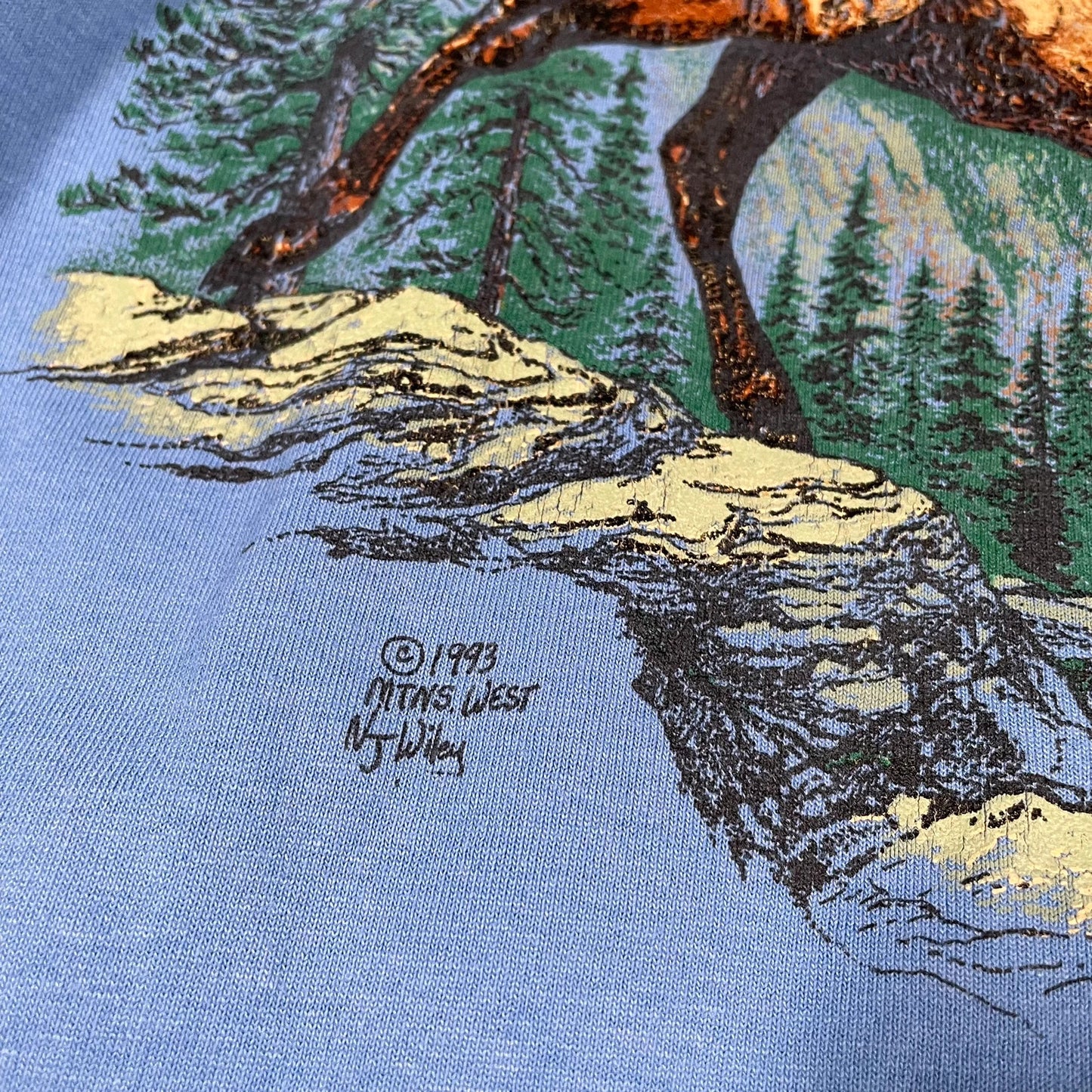 Vintage 90s Blue Nature Graphic T Shirt - Medium