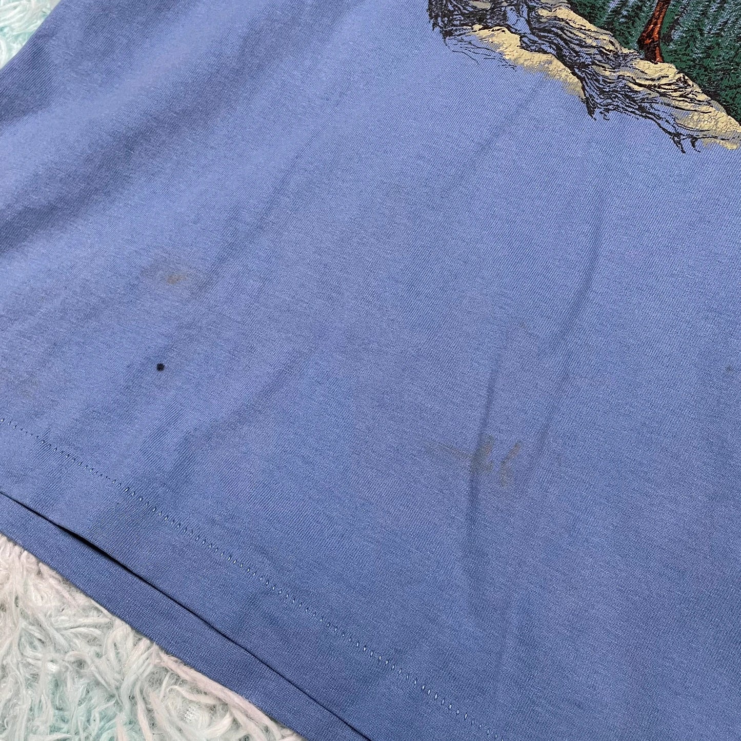 Vintage 90s Blue Nature Graphic T Shirt - Medium