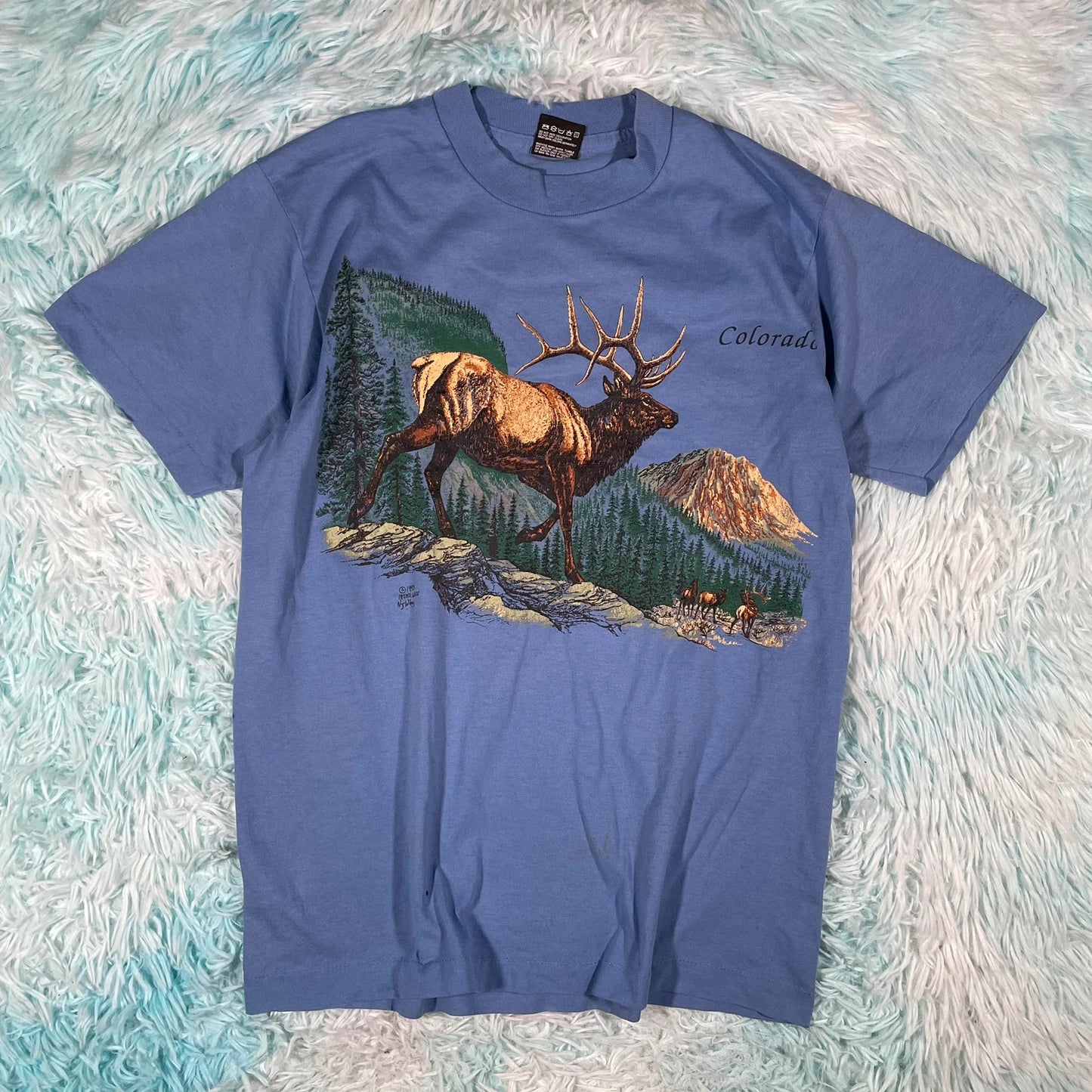 Vintage 90s Blue Nature Graphic T Shirt - Medium