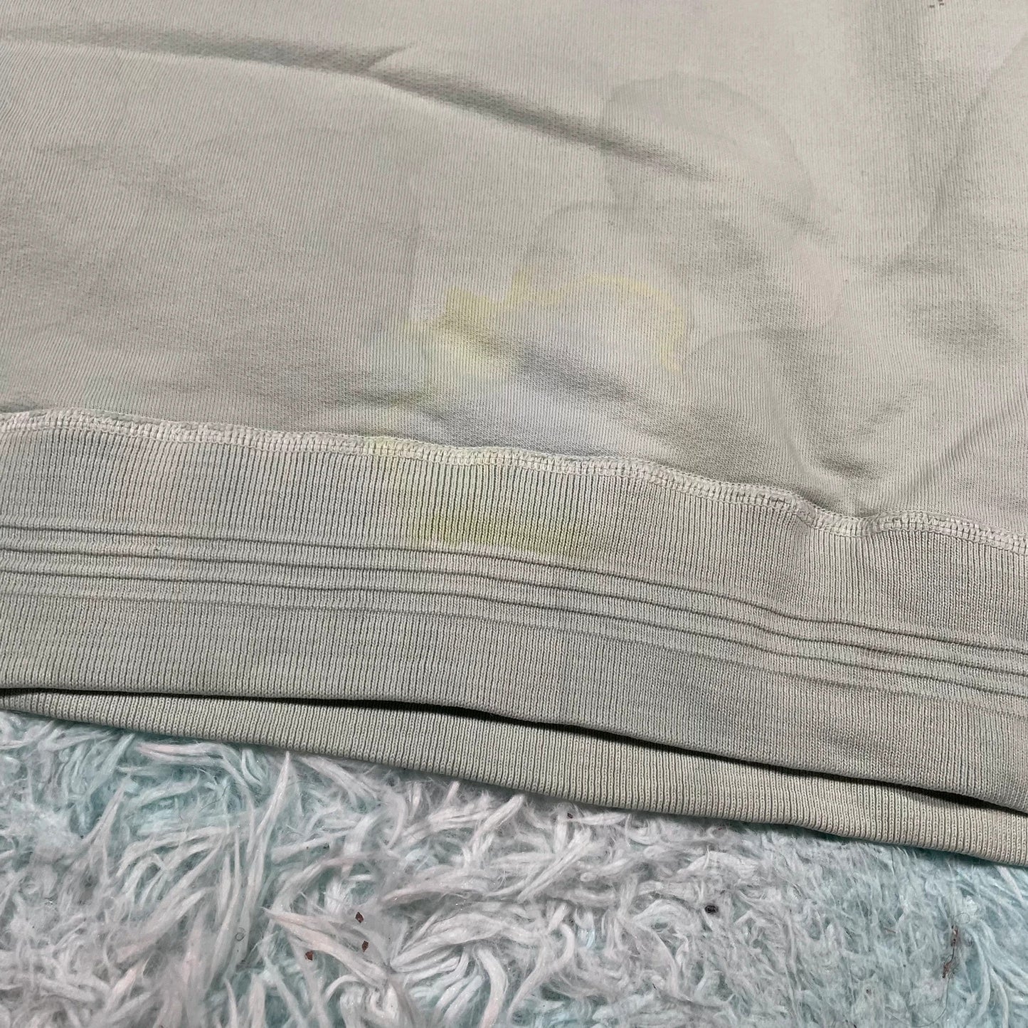 Mint Green Albany Sweatshirt Plain - Small