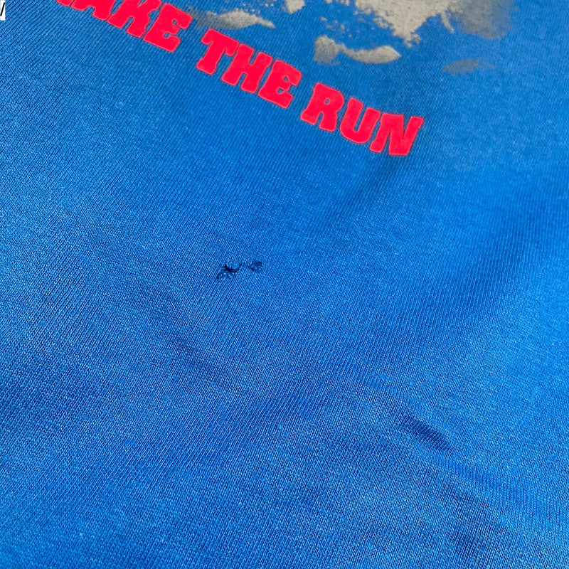 Vintage 90s Blue Ski Graphic T Shirt - XL