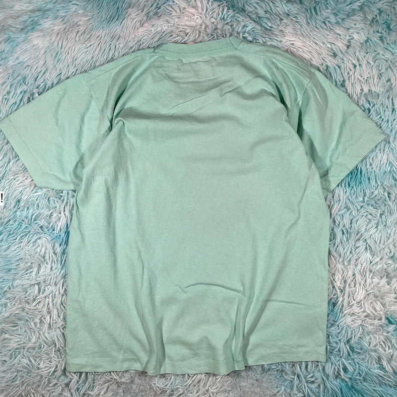 Vintage 90s Mint Green Blank T Shirt fruit of the Loom - Large