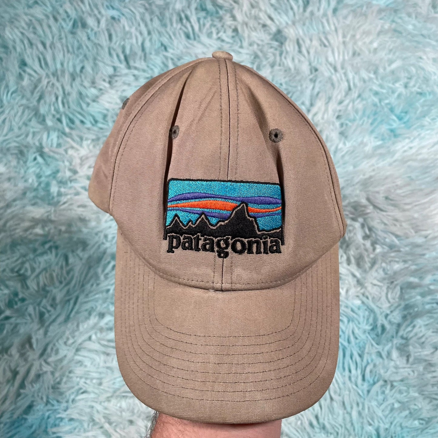 Beige Patagonia Cap