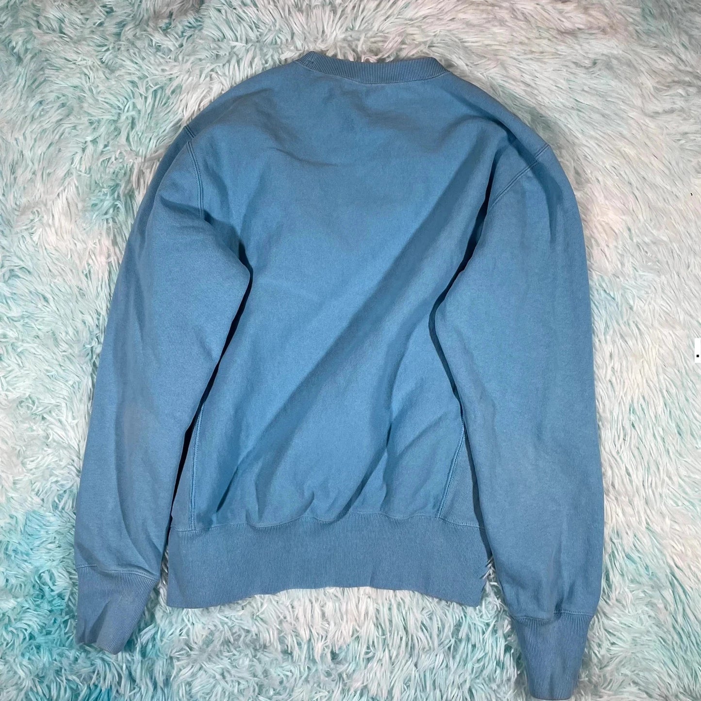 Baby Blue Champion Reverse Weave Sweatshirt - Large