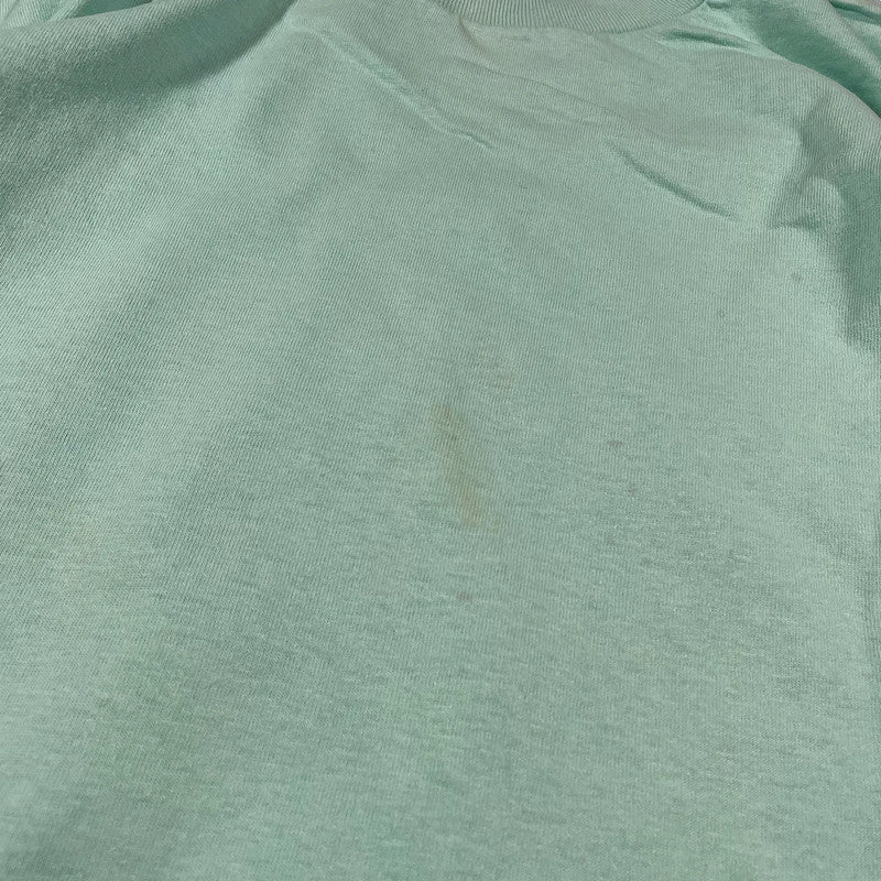 Vintage 90s Mint Green Blank T Shirt fruit of the Loom - Large