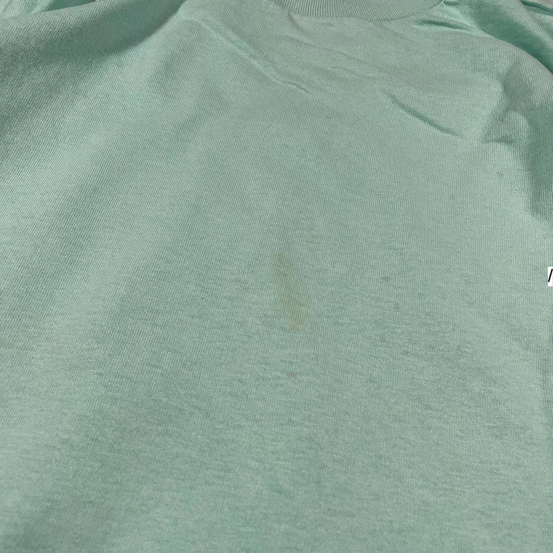 Vintage 90s Mint Green Blank T Shirt fruit of the Loom - Large