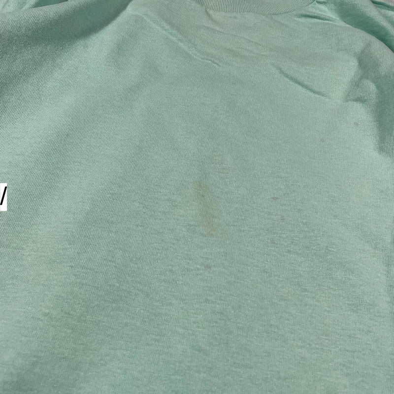 Vintage 90s Mint Green Blank T Shirt fruit of the Loom - Large