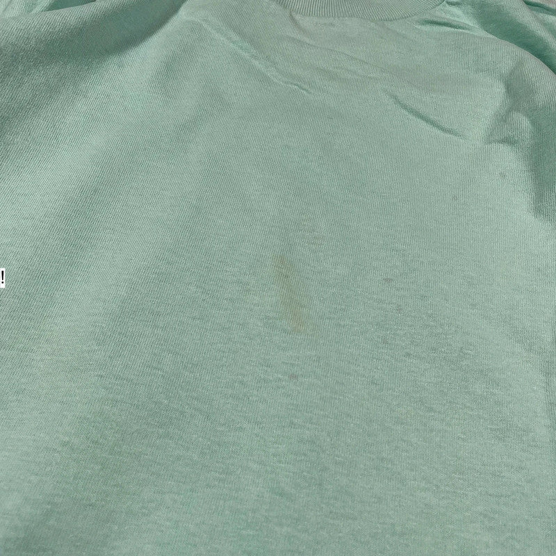 Vintage 90s Mint Green Blank T Shirt fruit of the Loom - Large