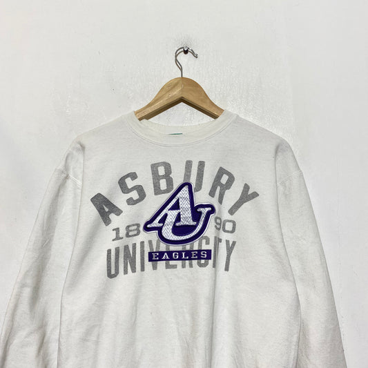 Vintage 00s White Ashbury University Champion Sweatshirt - Medium